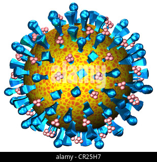 Abbildungen der Struktur eines typischen menschlichen Virus Stockfoto