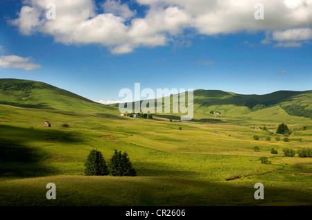 Die malerische Landschaft von Wiesen und sanften Hügeln von Cezallier, Auvergne, Frankreich, Europa