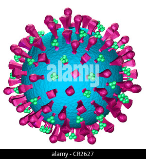 Abbildungen der Struktur eines typischen menschlichen Virus Stockfoto