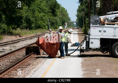 Oberbau-Ingenieure arbeiten an die Eisenbahn zu verfolgen, in der Nähe von DeLand Station Florida USA Stockfoto