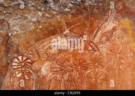 Aborigine-Felskunst Darstellung Fische, Nourlangie, Kakadu-Nationalpark, Northern Territory, Australien Stockfoto