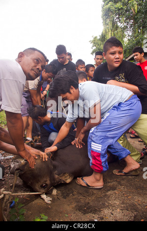 Hari Raya Aidiladha oder Hari Raya Haji, ist eine wichtige religiöse Fest für Muslime. Foto 6. November 2012 in Malaysia. Stockfoto