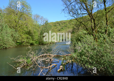 Stream, Monsal Dales, Peak District, Derbyshire, UK. Stockfoto