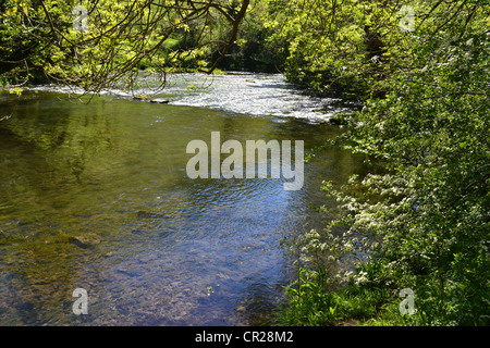 Fluss, Monsal Täler. Stockfoto