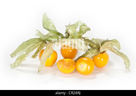 Physalis mit geschnittenen Früchten vor Stockfoto