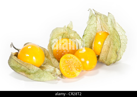 Physalis mit geschnittenen Früchten vor Stockfoto