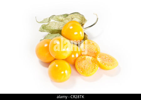 Physalis Früchte auf weißem Hintergrund Stockfoto