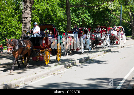 Central Park in New York City, Manhattan, NYC, fährt Wagen von Pferden gezogene Kutsche Stockfoto