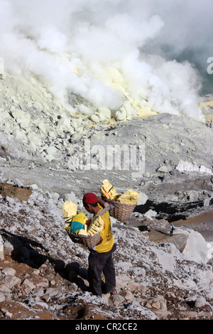 Schwefel-Bergleute am Kraterrand des Vulkans Ijen in Indonesien Stockfoto