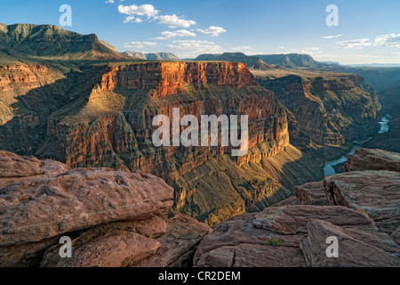 Abendlicht taucht die Wände des Arizonas Grand Canyon National Park von Toroweap mit den Colorado River 3.000 Fuß unter. Stockfoto