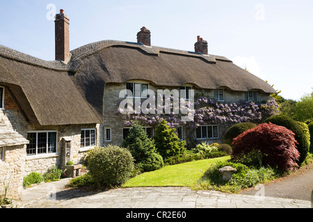 Schöne Stein gebaute Haus / Häuser mit Reet / Stroh / thatching Dach / Dächer. Corfe Castle. Dorset UK. Stockfoto