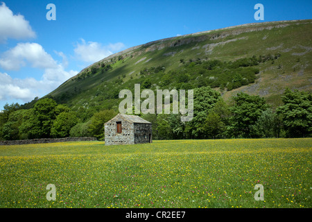 Muker Keld Feld Barn  Winter Nahrung für Lager eine Butterercup Wiese im Swaledale, Richmondshire, UK Stockfoto
