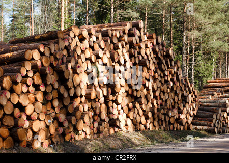 frisch gesägten Protokolle auf ländliche Straße Stockfoto