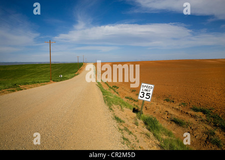 Eine lange, einsame Bauernhof Schotterstraße in western Colorado laufen durch Bohne und Luzerne Felder Stockfoto