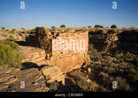 Die Sandsteinwände des Box Canyon Pueblo in den Lomaki-Ruinen im Wupatki National Park, Arizona, direkt unterhalb der San Francisco Peaks. Stockfoto