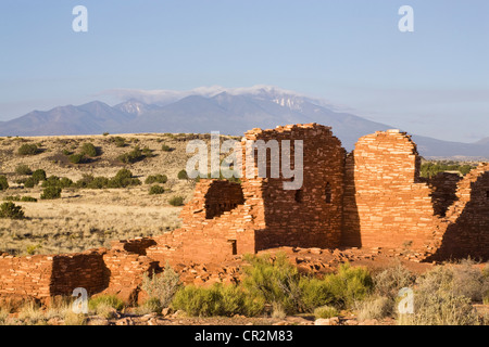 Die Sandsteinmauern der Lomaki-Ruinen im Wupatki National Park, Arizona. San Francisco Peaks sind im Hintergrund. Stockfoto