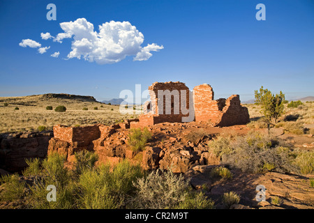 Die Sandsteinmauern der Lomaki-Ruinen im Wupatki National Park, Arizona. San Francisco Peaks sind im Hintergrund. Stockfoto