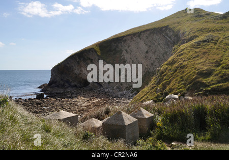 Weltkrieg zwei Tank fallen an der Küste von Dorset in der Nähe von Worbarrow Bay, nahe Bucht, Dorset. Stockfoto