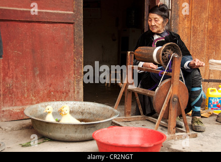 Eine alte Frau mit einem Haspel Wickler Blick auf vier gelbe Entenküken in einer Eisen-Becken, Gaozheng Dong Dorf, China Stockfoto