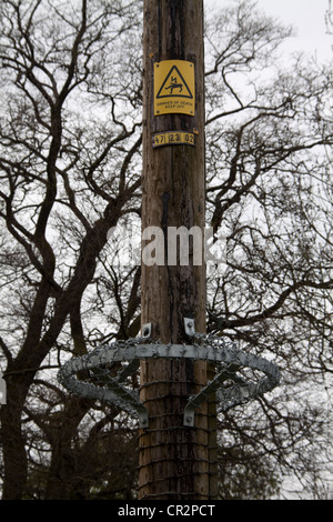 Elektrizität Mast Stockfoto