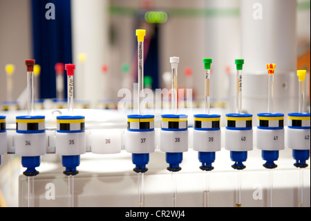 Reagenzgläser Glasfläschchen im Chemielabor Stockfoto