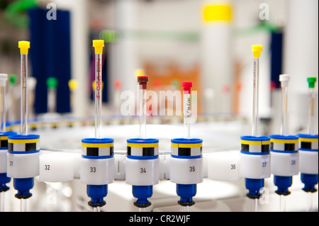 Reagenzgläser Glasfläschchen im Chemielabor Stockfoto