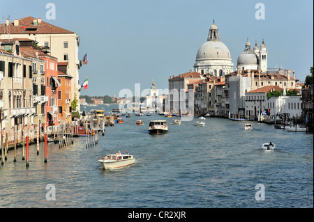 Canal Grande, Kirche Santa Maria della Salute auf der rechten Seite, Venedig, Venedig, Italien, Europa Stockfoto