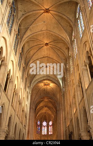 Frankreich, Paris, Ile De La Cite, Kathedrale Notre-Dame de Paris Stockfoto