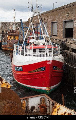 Fischtrawler gefesselt im Macduff harbour Banffshire Scotland UK Stockfoto