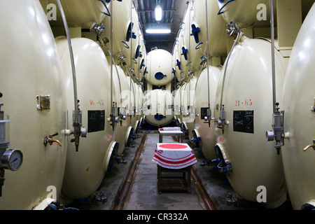 Lagerung von Bier in der Budweiser-Brauerei in Budweis, Budweis, Budvar, Böhmen, Tschechische Republik, Europa Stockfoto