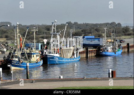 Shrimp-Kutter, port, Eidersperrwerk, Eidersperrwerk, der Bau begann im Jahr 1967, in der Nähe von Tönning, Schleswig-Holstein Stockfoto