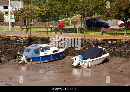 Kingsbridge Kai South Devon bei Ebbe. Stockfoto