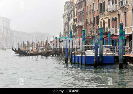 Blick von der Rialto-Brücke, Ponte di Rialto auf dem Canal Grande, Canal Grande, Venedig, Veneto, Italien, Europa Stockfoto