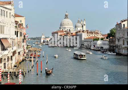 Canal Grande, Canale Grande, mit Chiesa Santa Maria della Salute Kirche rechts, Venezia, Venedig, Veneto, Italien, Europa Stockfoto