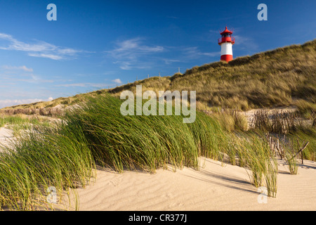 Rot-weiß gestreifte Leuchtturm der Liste Ost auf der Sylter Halbinsel Ellenbogen, gesehen vom Strand, List, Sylt Stockfoto