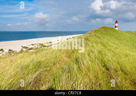 Leuchtturm von Liste Ost auf der Sylter Halbinsel Ellenbogen, List, Sylt, Norden Frisia, Schleswig-Holstein, Deutschland, Europa Stockfoto