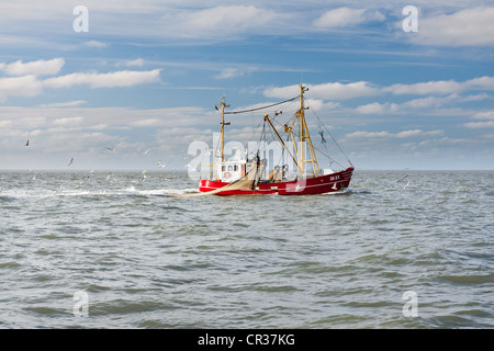 Garnelen-Boot mit Möwen vor der Küste der Nordsee mit Wind-Turbinen, Büsum, Schleswig-Holstein, Deutschland, Europa Stockfoto