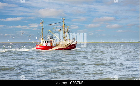 Garnelen-Boot mit Möwen vor der Küste der Nordsee mit Wind-Turbinen, Büsum, Schleswig-Holstein, Deutschland, Europa Stockfoto