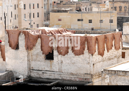 Gerber-Viertel, Viertel Chouwara Färber, Fes El Bali District, Medina, ein UNESCO World Heritage Site, Fes, Fes, Marokko, Afrika Stockfoto