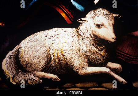 Detail der Buntglas-Fenster mit Schaf oder Lamm mit bemalten locken schlägt seine Fleece Mantel aus Wolle Stockfoto