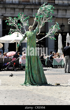 Baum, Musiker, Straßenkünstler, Platz Plaza Mayor, Madrid, Spanien, Europa Stockfoto