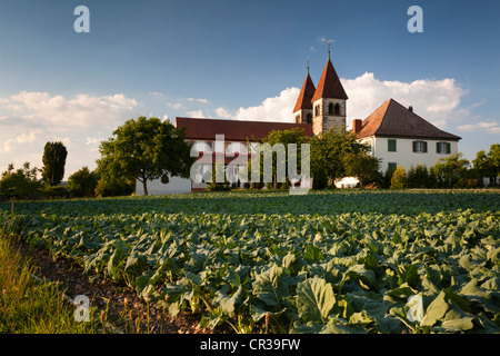 Kirche St. Peter und Paul in Niederzell auf der Insel Reichenau, Bodensee, Konstanz Bezirk, Baden-Württemberg Stockfoto