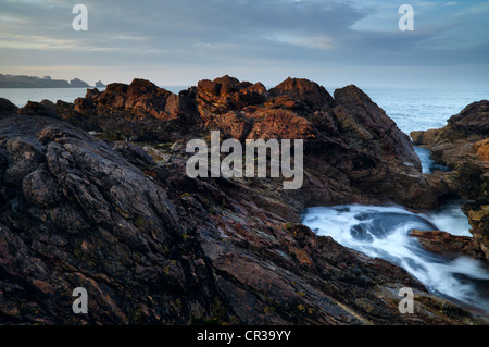 Die zerklüftete Küste an einem Sommerabend in Coldingham Bay, Berwickshire, Schottland Stockfoto