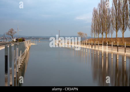 Hafen von Moos am Bodensee, Baden-Württemberg, Deutschland, Europa Stockfoto