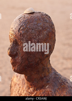 Nahaufnahme Detail in Antony Gormley Iron Men zeigen. Teil des "Woanders" befindet sich auf Crosby Strand Merseyside England Stockfoto