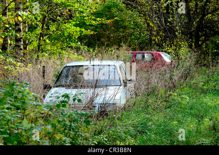 Zwei Autowracks, versteckt im Wald, Ystad, schonen, Schweden, Europa Stockfoto