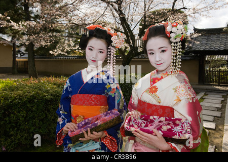 Japan, Insel Honshu, Kinki Region, Stadt von Kyoto, Gion Bezirk, geishas Stockfoto