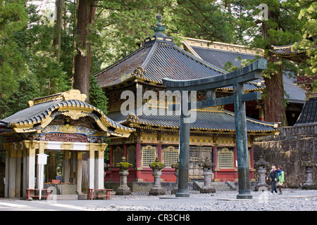 Japan, Insel Honshu, Kanto-Region, Stadt von Nikko, Schreine und Tempel von Nikko UNESCO-Welterbe, Tosho Gu Sanctuary, Stockfoto