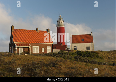 Leuchtturm in Texel, Niederlande, Europa Stockfoto