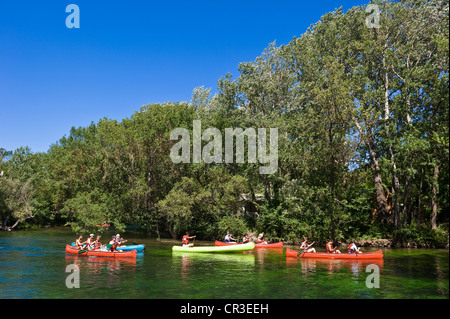 Frankreich, Vaucluse, Lubéron, Fontaine de Vaucluse, Kajak am Fluss Sorgue entlang Chemin de Mousquety (Mousquety zu Fuß) Stockfoto